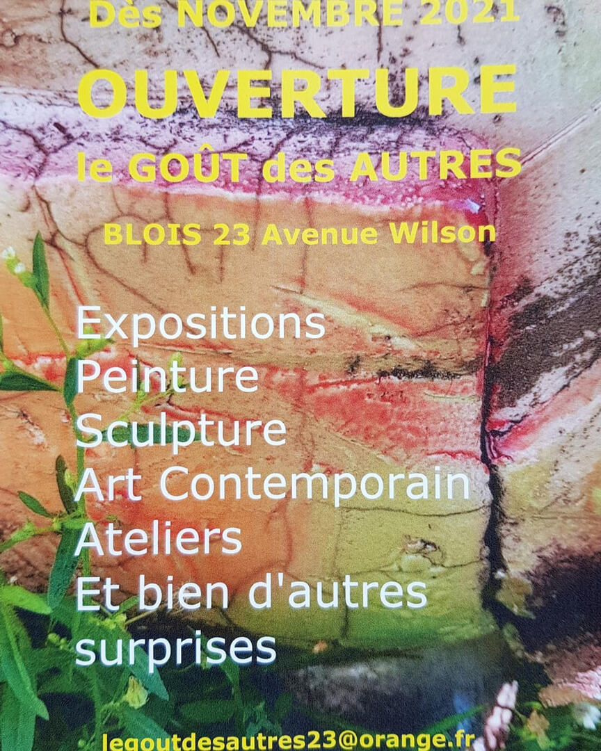 Gout des autres Blois.jpeg