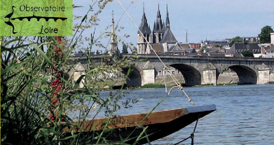 PROG OBSERVATOIRE LOIRE 2022.jpg