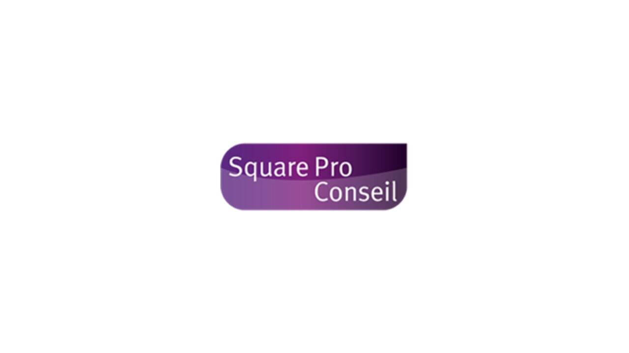 Cyberteam - Square Pro Conseil.jpg