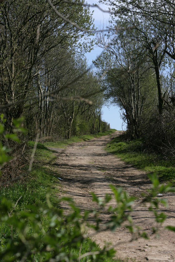 Marles-MGProd1.jpg