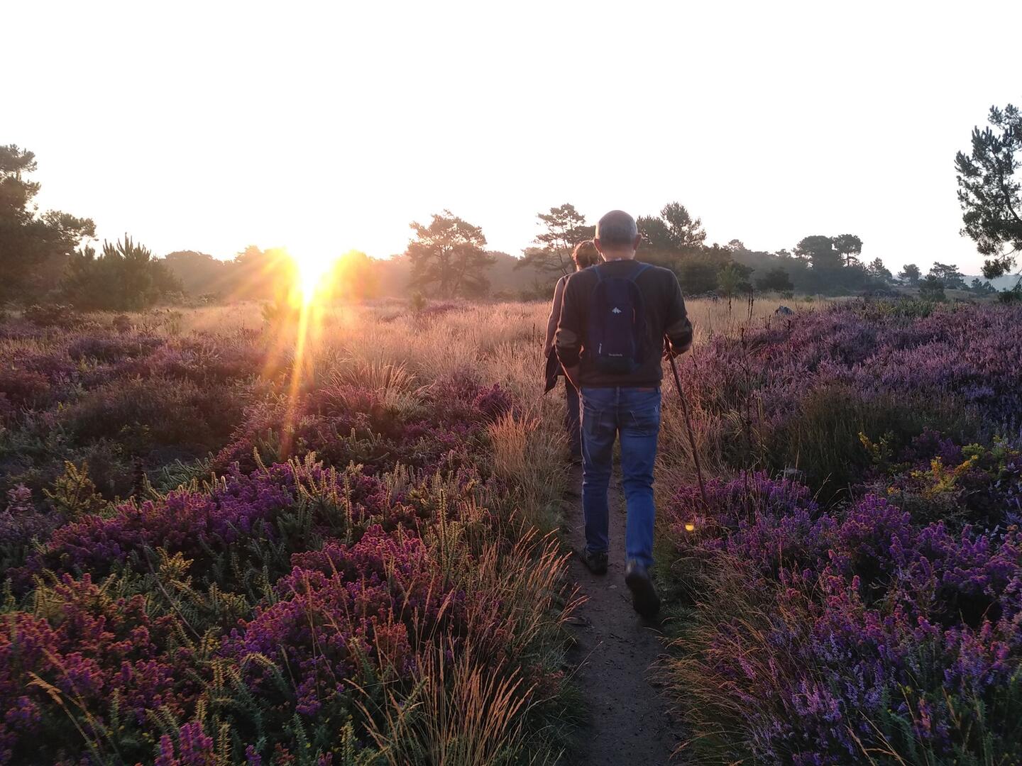 SauteRuisseaux_LeverdeSoleil (7) - Saute Ruisseau Association.jpg
