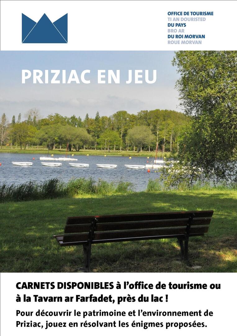 affiche jeu en autonomie Priziac 2018.jpg