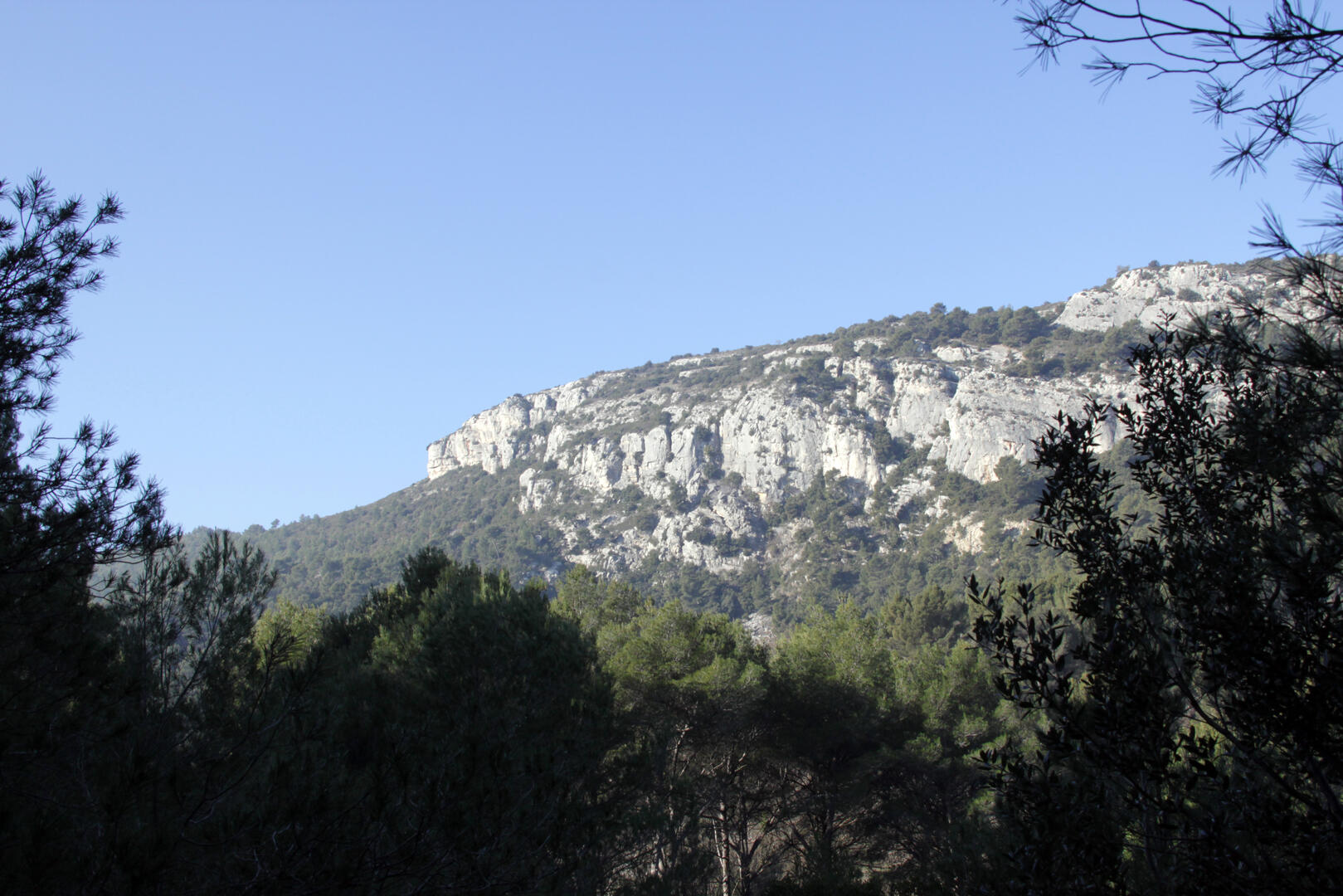 Rocher-les lagets Sainte-Baume OTI Aubagne.jpg