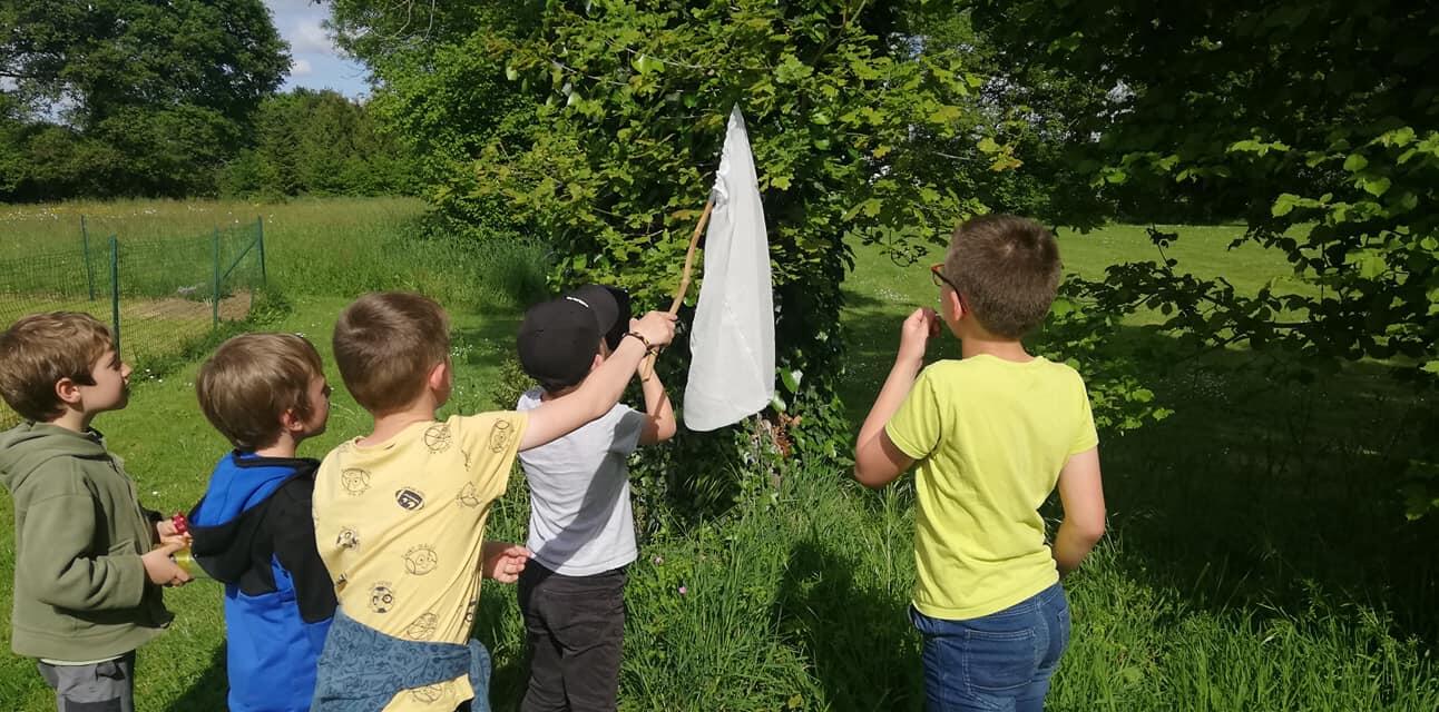Club nature Plumes et Papillons (1).jpg