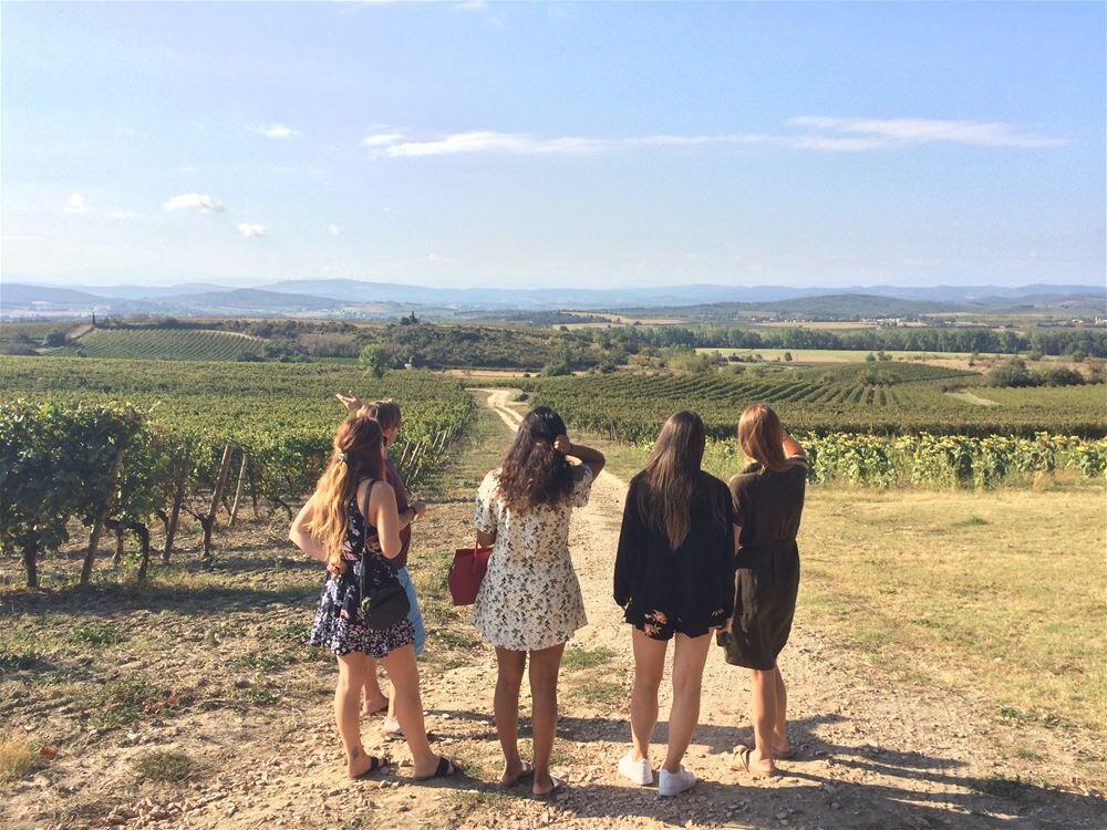 excursion degustation1.jpg