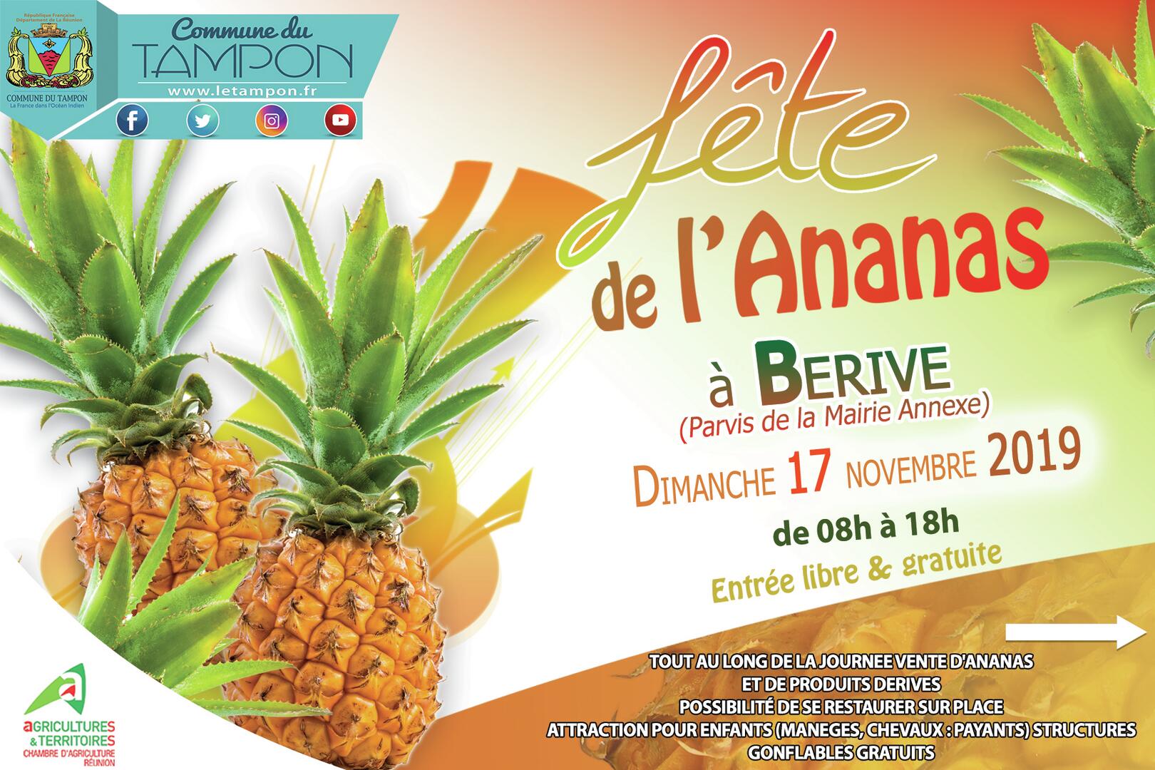 affiche fête de l'ananas 2019.jpg