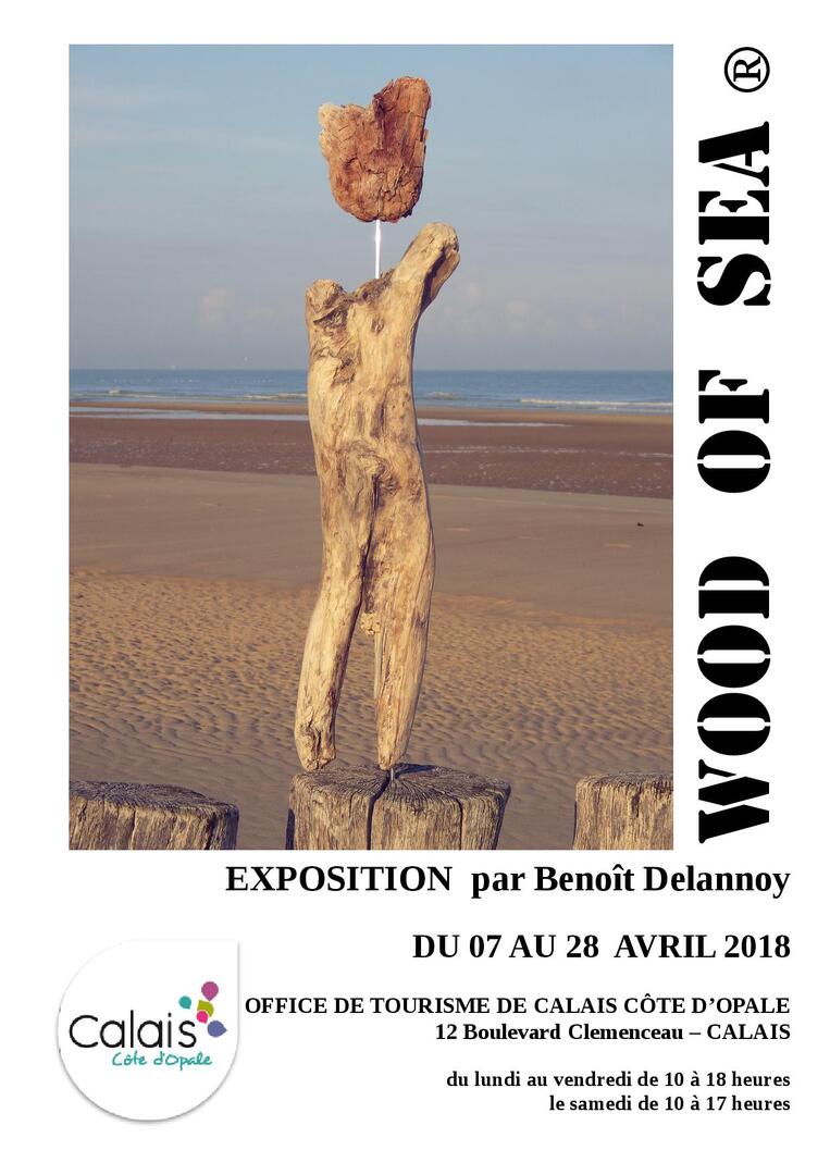 EXPO WOOD OF SEA 7 au 28 avril.jpg