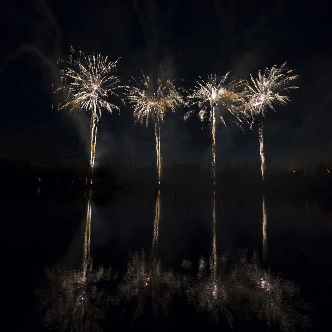 ADL 17-07-14 feu d'artifice 36.jpg