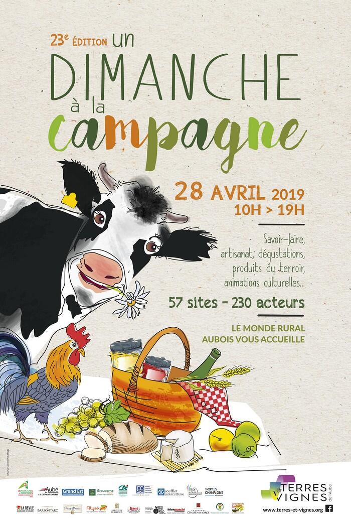 27 avr - New Affiche DIMANCHE à la camp.jpg
