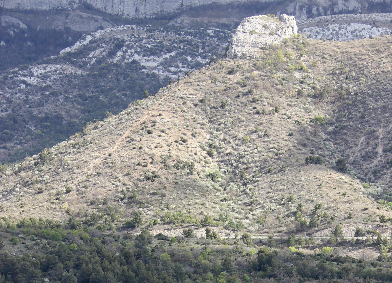 Ravin des Encanaux-La Lare-Sainte-Baume OTI Aubagne.jpg