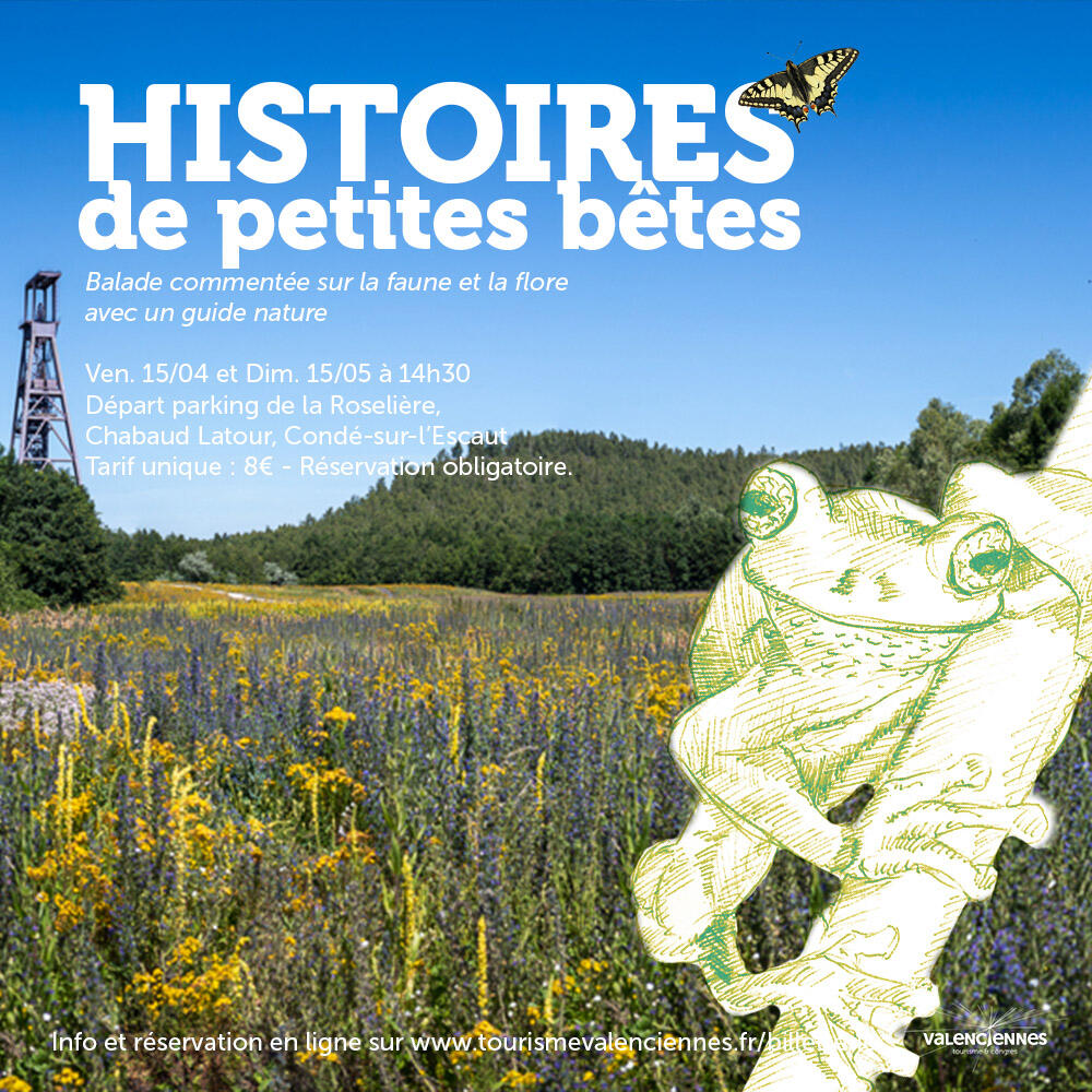 histoire de petites betes_2.jpg