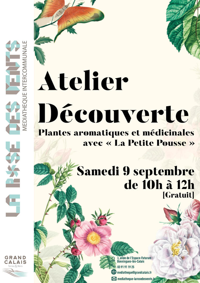 Rose des Vents - Atelier Plantes 2.jpg
