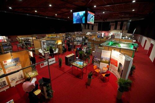 salon du chiot.jpg