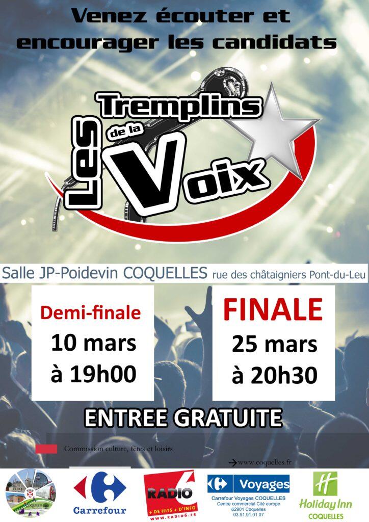 tremplinsdelavoix-mars-2017.jpg