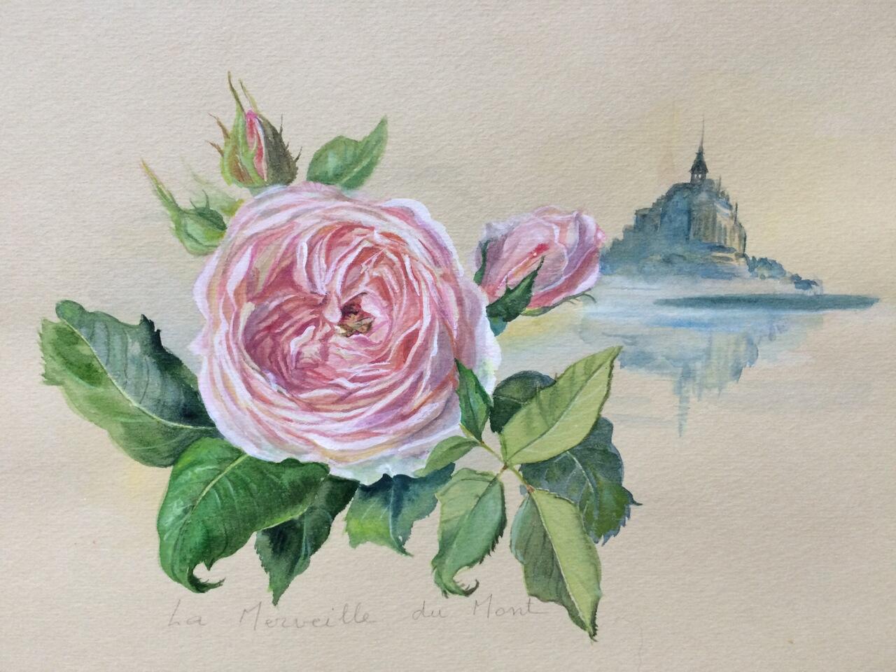 Les contemplatives - Maison Roses thé.jpeg
