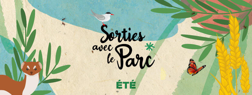 sqortie-parc-été.jpg