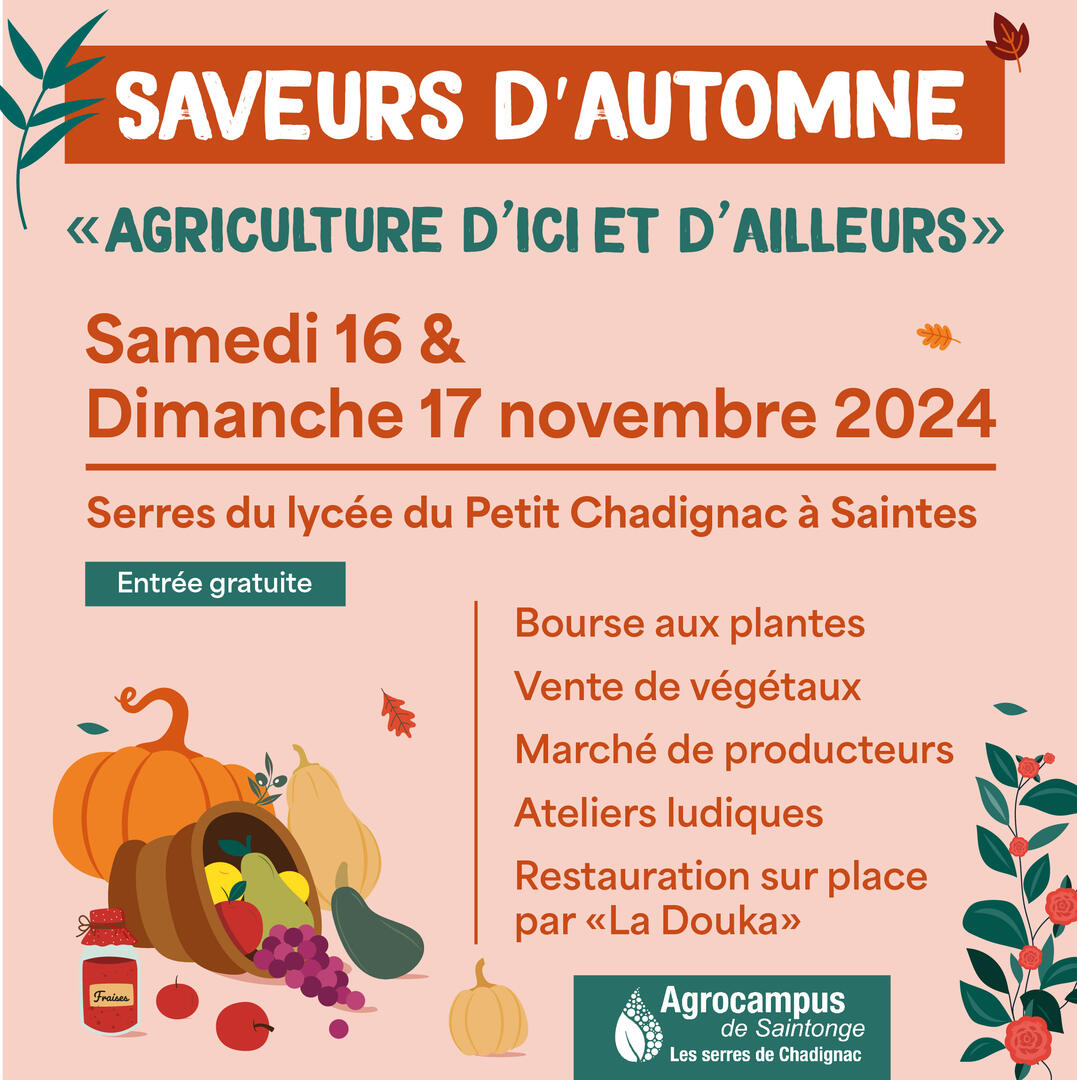 saveurs_automne_web_saintes_chadignac.jpg