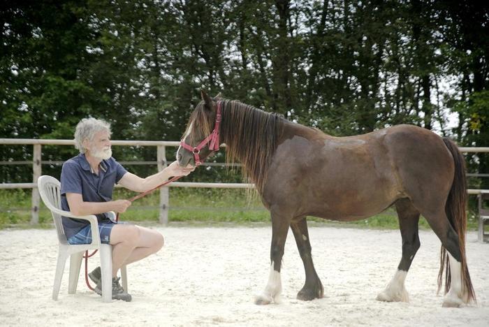 Atelier_relaxation_pleine_nature_Ferme_equestre_naturelle_Les_Grillaults_La_Roche_Posay.jpg