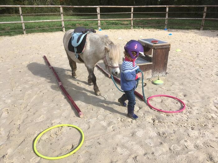 Stage_poney_nature_Ferme_equestre_naturelle_Les_Grillaults_La_Roche_Posay.jpg