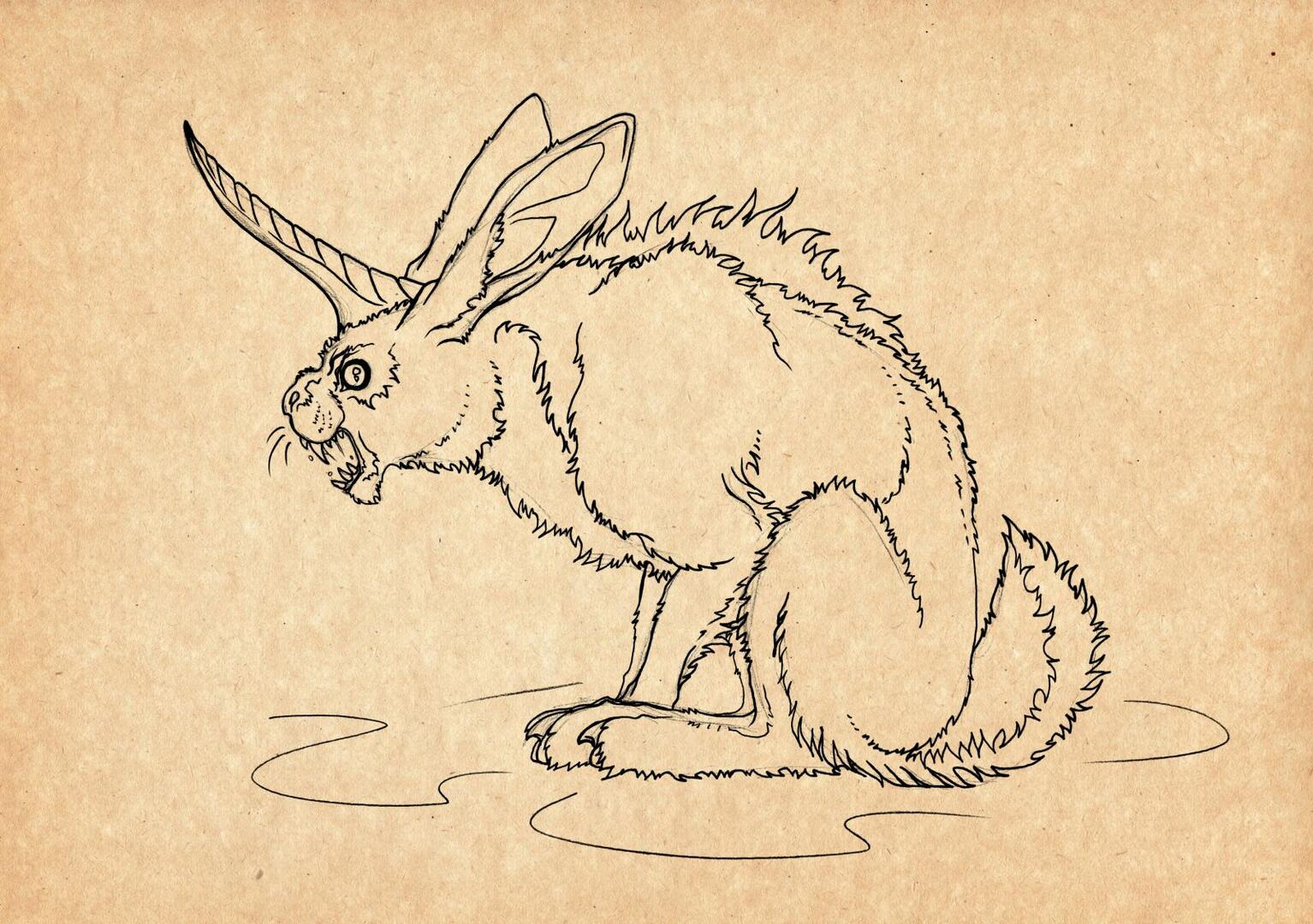 29.10.2020 Meganimal.jpg