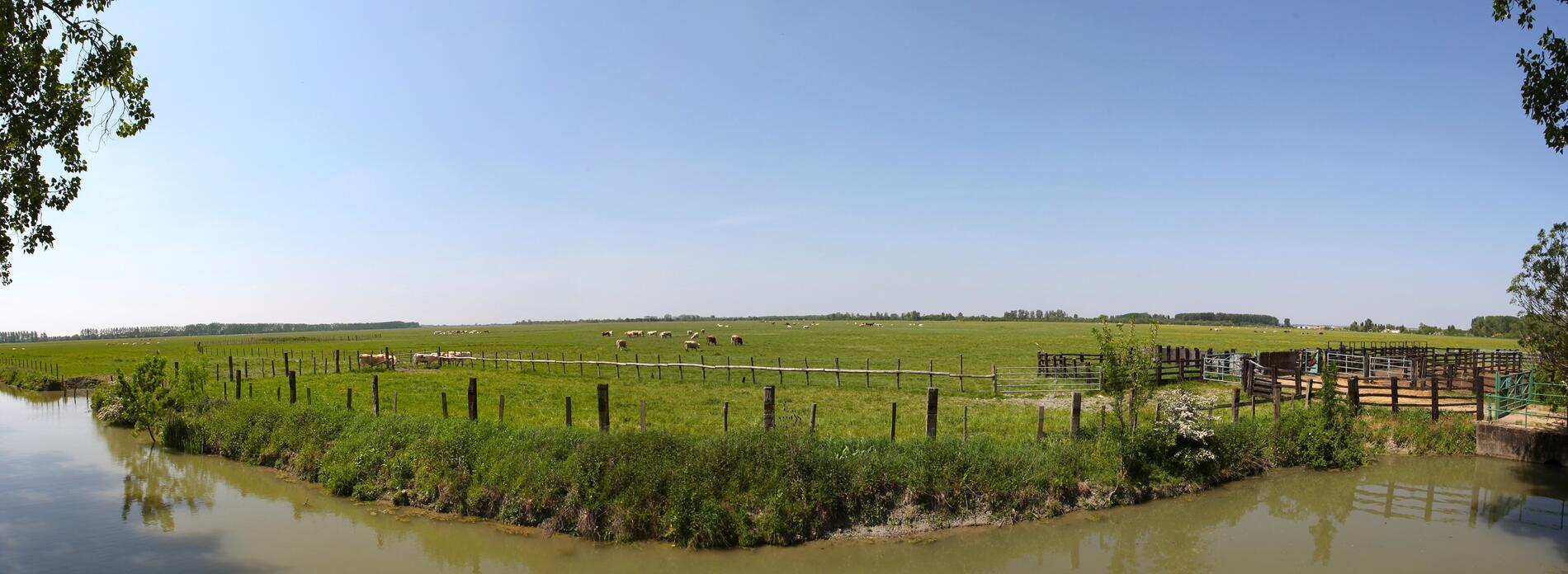 le Communal -les Velluire-sur-Vendée