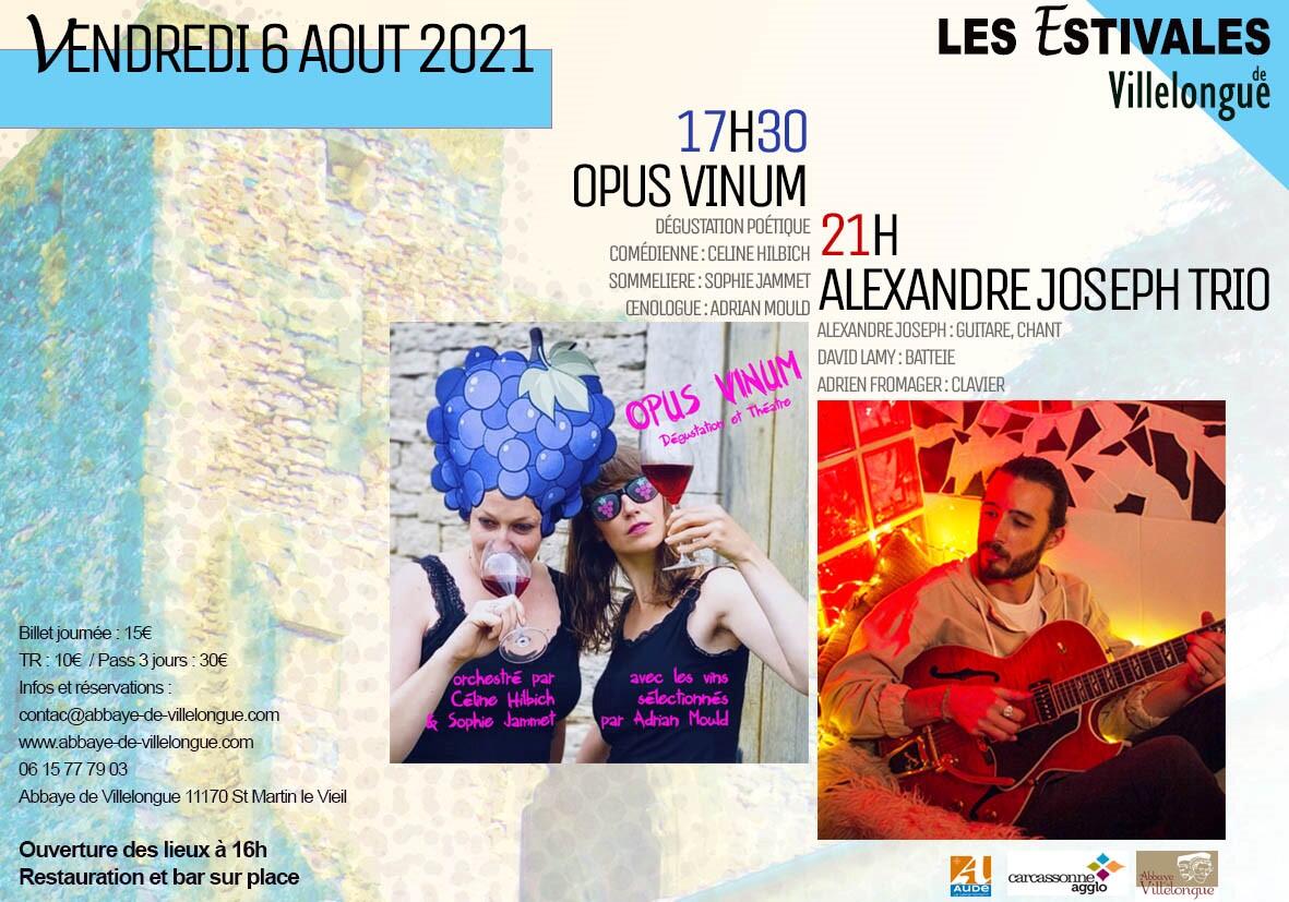 ESTIVALES DE VILLELONGUE.jpg