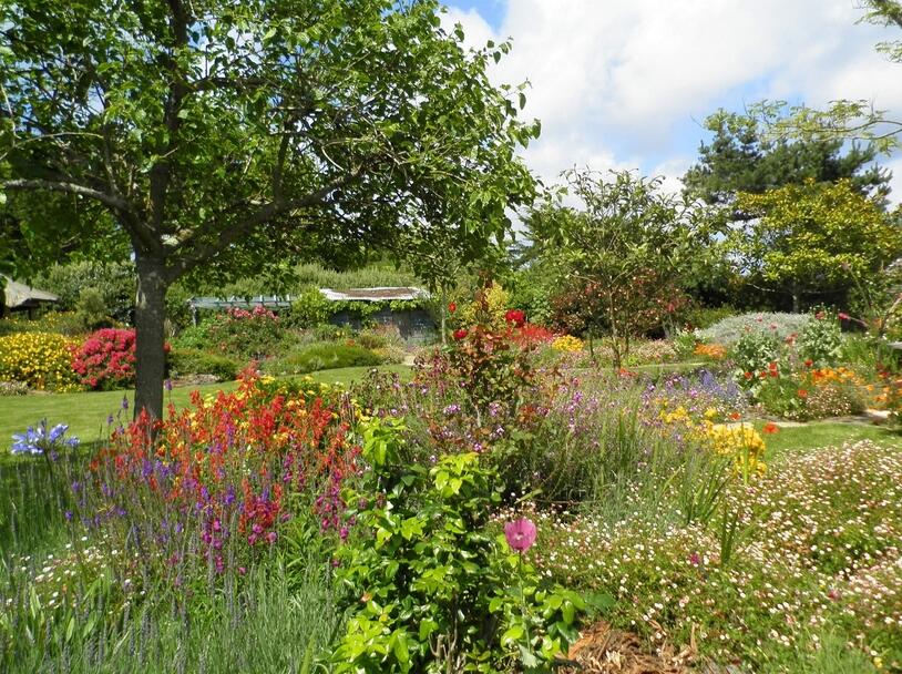 Eden du voyageur - jardin - visite - Belle ile en Mer - Bretagne sud - Morbihan - Vue d'ensemble.jpg