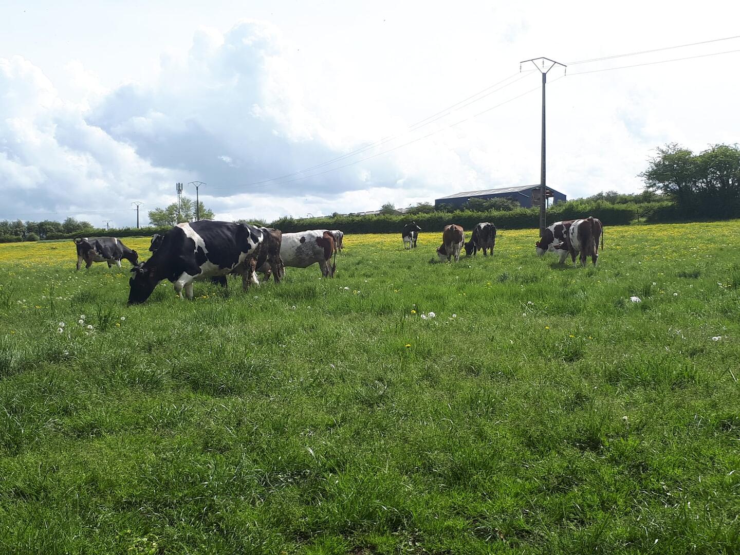 Ferme Beugin - Ames.jpg