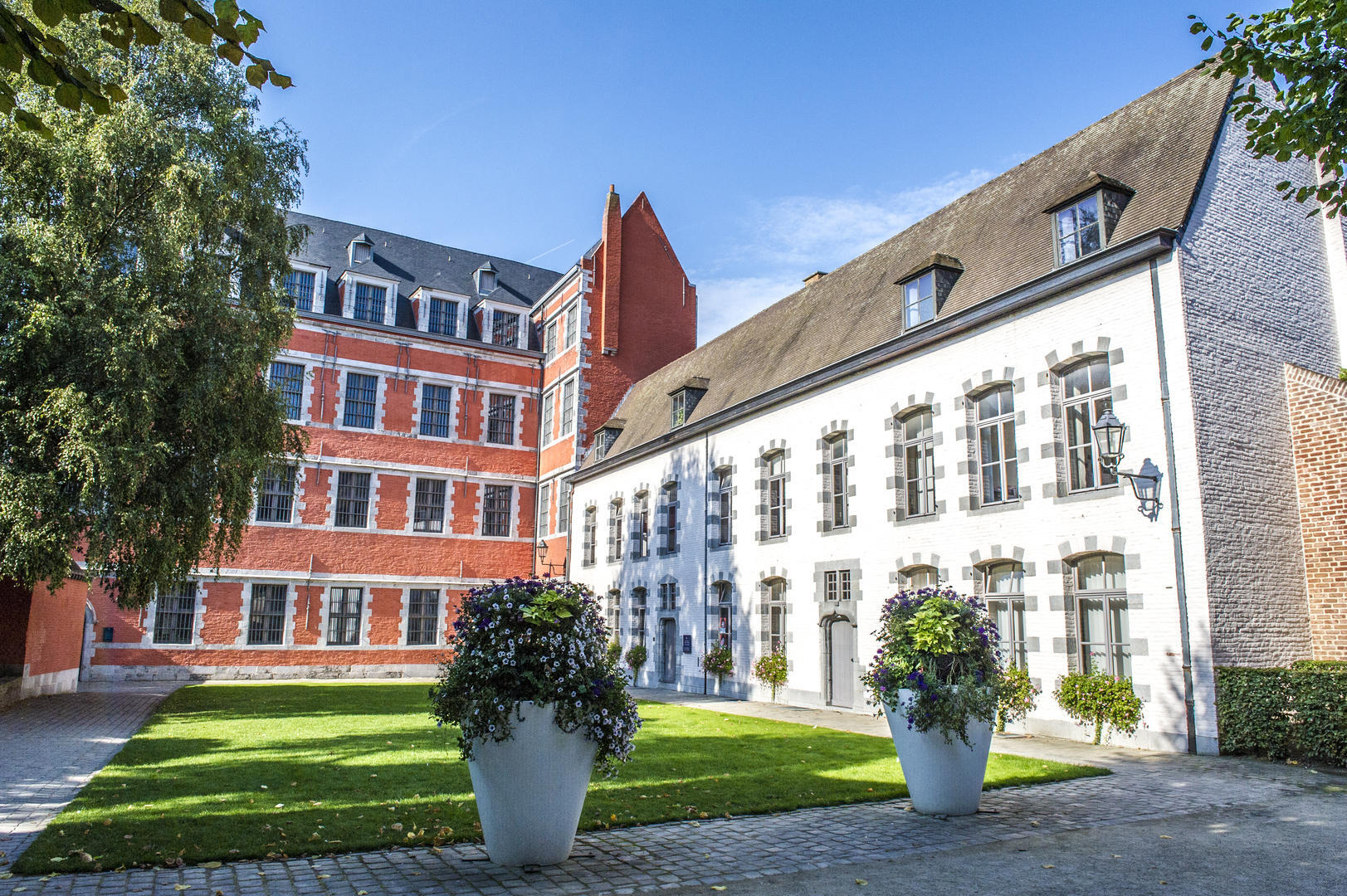 jardin du mayeur.jpg