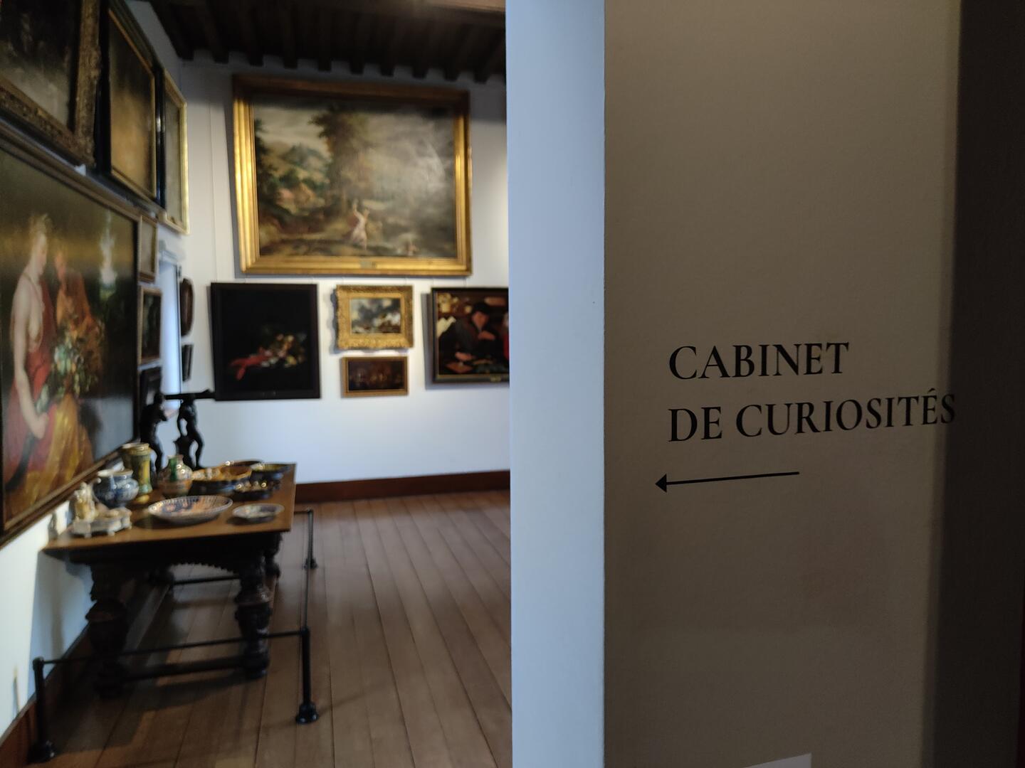Musée de la Chartreuse - Beaux-arts - Cabinet de curiosité - Douai - Douaisis - Nord - France (c)Douaisis Tourisme (28).jpg