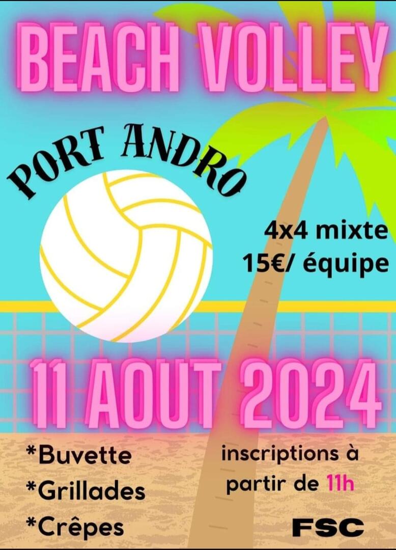 Beach volley.jpg