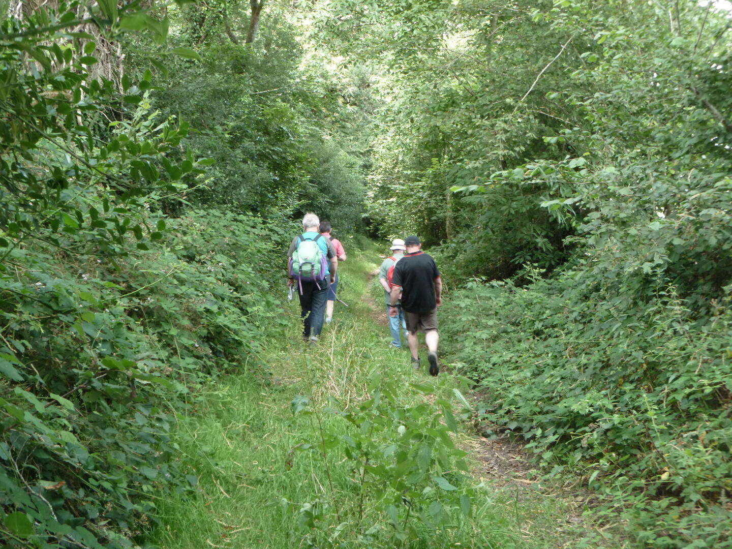 Rando_Eoliennes_ Roudouallec (2).JPG