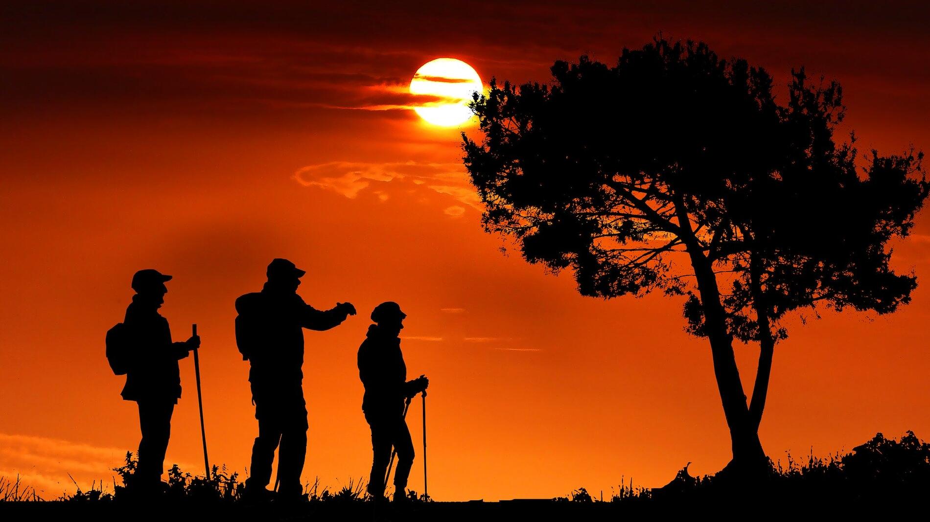 sunset-4089845_1920.jpg