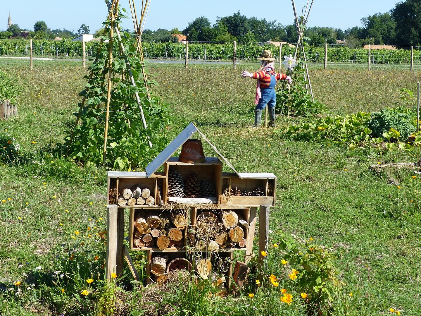 Permaculture.jpg