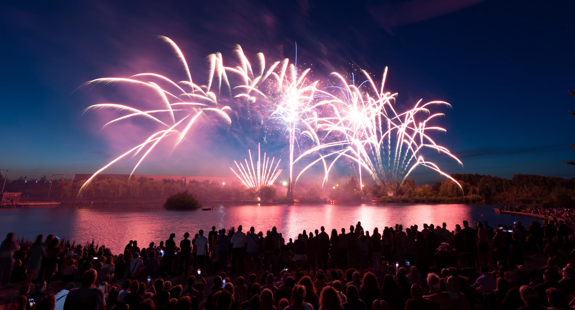Feu d'artifice Parc Jacques Vernier (c)ADL.jpg
