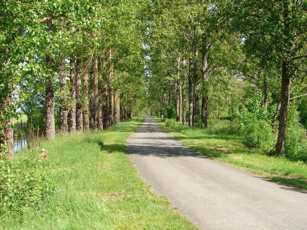 Autour du communal - Poiré sur Velluire.jpg
