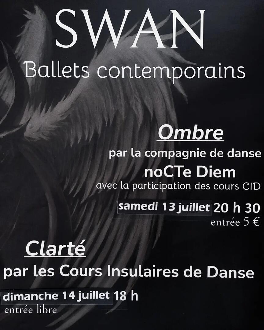 Swan.jpg