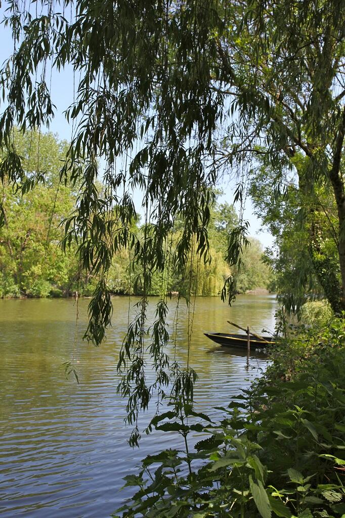 Les Chaintres - les Velluire-sur-Vendée.jpg