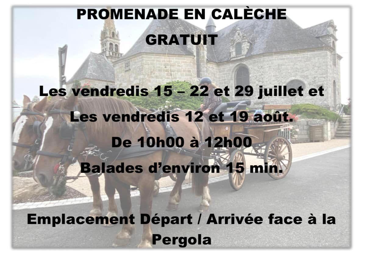 Plouray - promenades en calèche - vendredis en juillet et août.jpg
