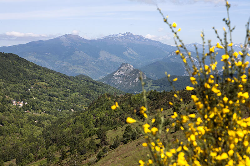 vue_du_mont_fourcat_depuis_la_vallee_saurat.jpg