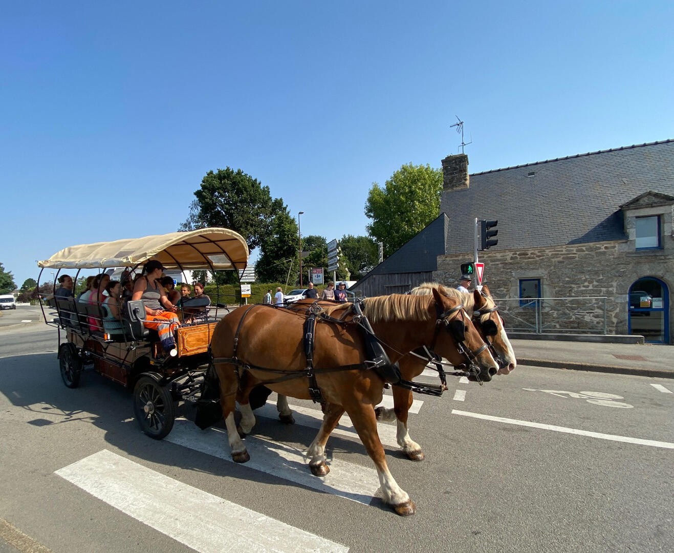 Balade-en-calèche-Questembert.jpg