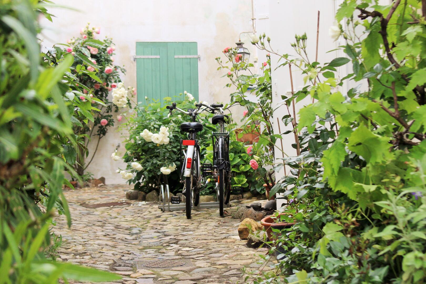 velo ile de ré location.JPG