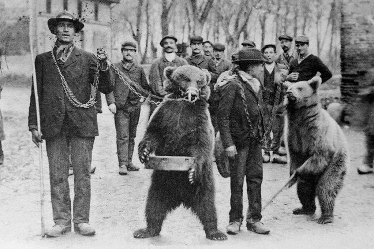 Paroles-d-ours.jpg
