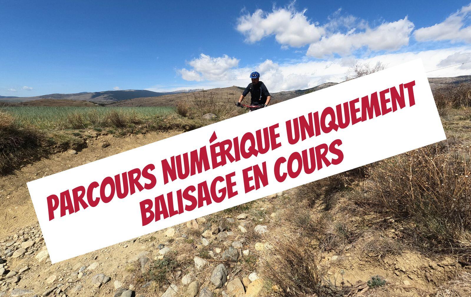 PARCOURS numérique uniquement balisage en cours(1).jpg