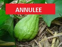 img-name-mising