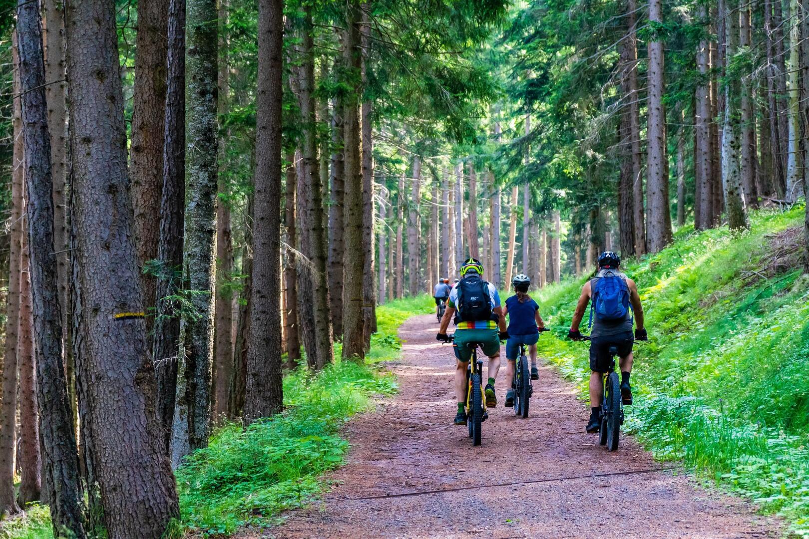 circuit vtt les écluses.jpg