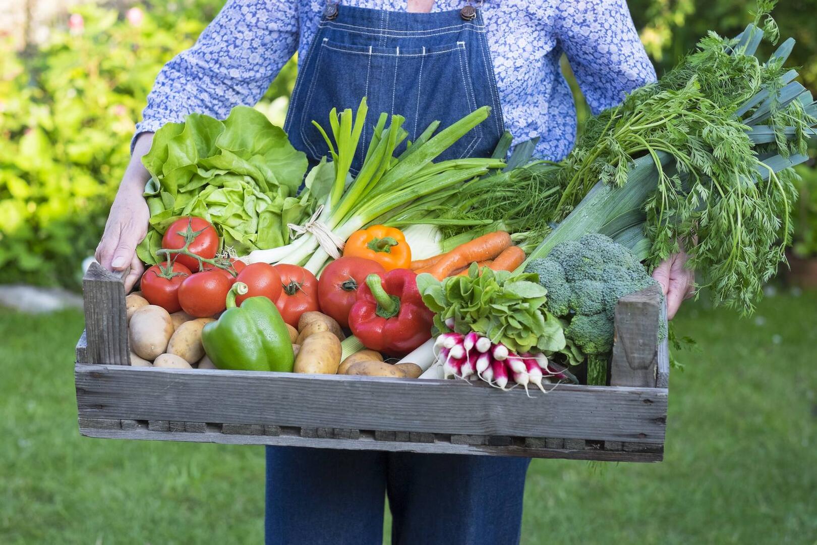 27sept marché producteurs condé.jpg