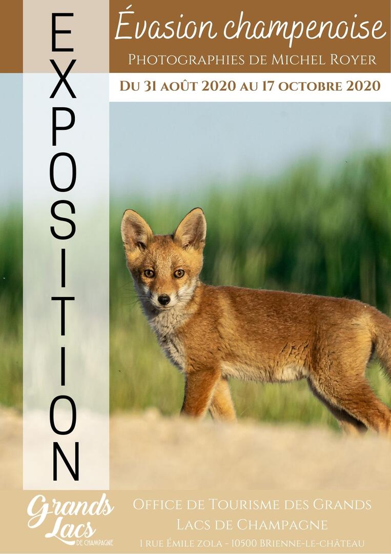 Copie de Affiche expo P.Richier (2).jpg