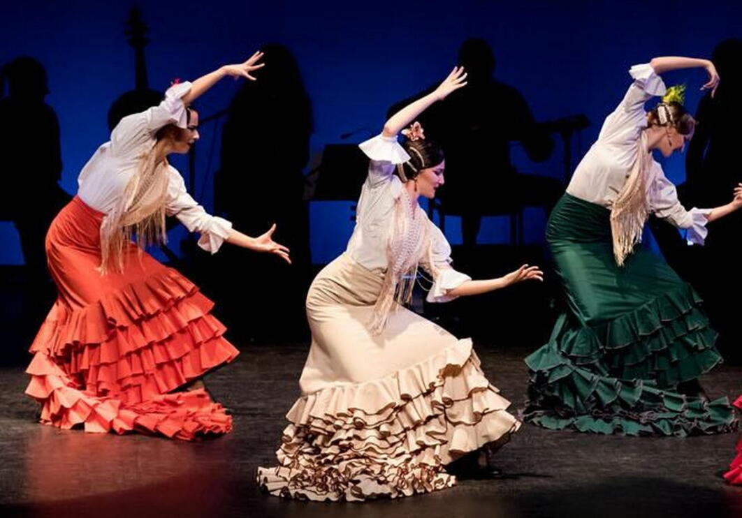 PASION FLAMENCA.jpg