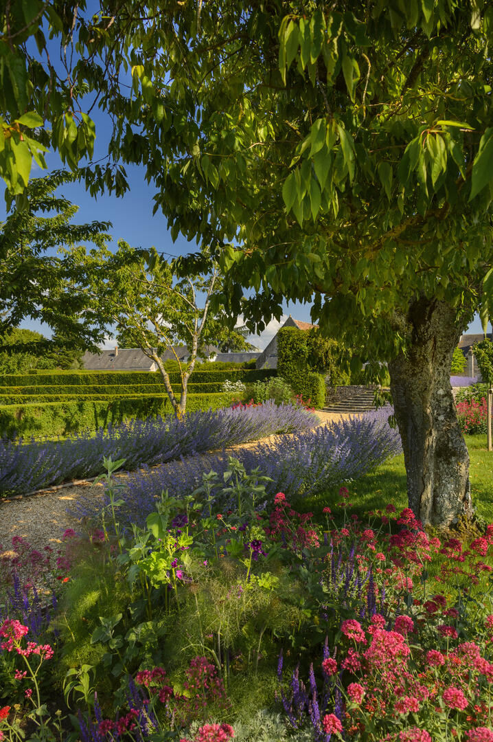 TALCY RDV aux jardins crédit Léonard de Serres - CMN.jpg